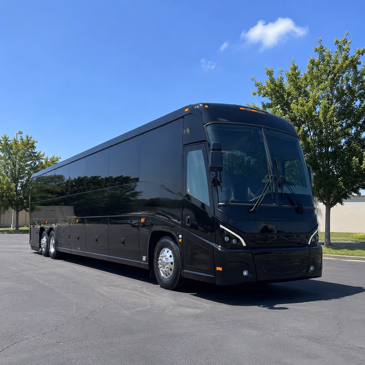 roseville 56 passenger charter bus