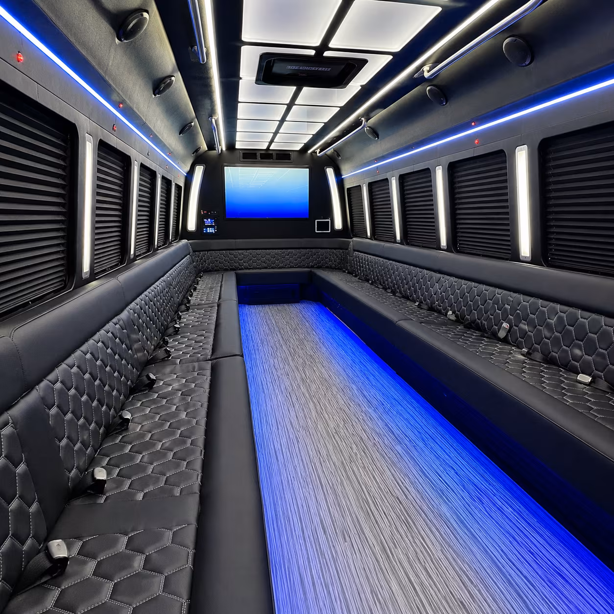 roseville birthday party buses for concerts and sporting events